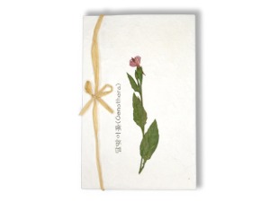 달맞이꽃 누름꽃 카드 (10 X 15cm)