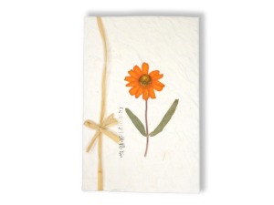 백일홍 누름꽃 카드 (10 X 15cm)